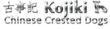 Kojiki Chinese Crested Dogs
